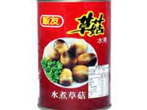 FY Straw Mushrooms